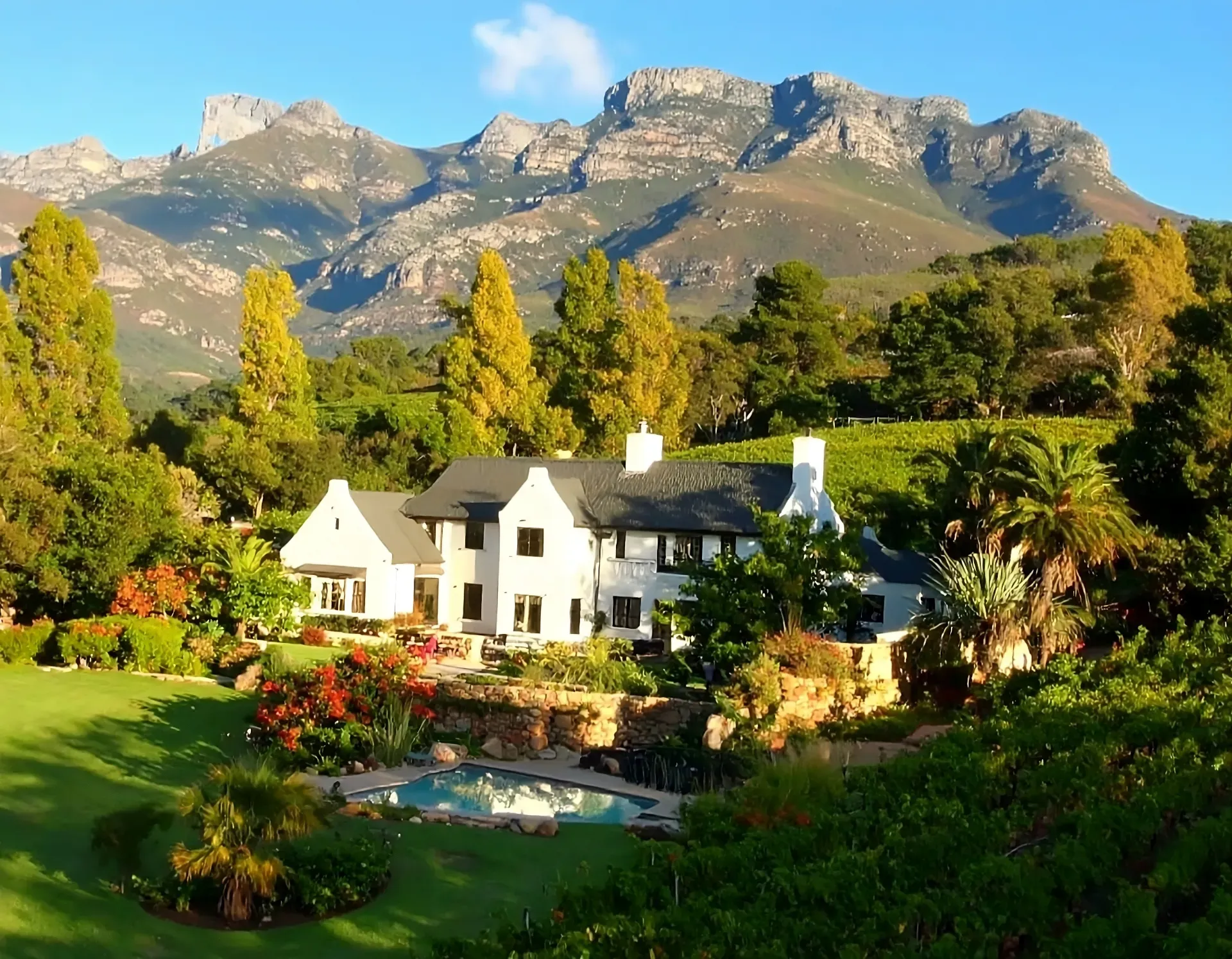 The Cape Winelands - rolling vineyard hills with mountain views