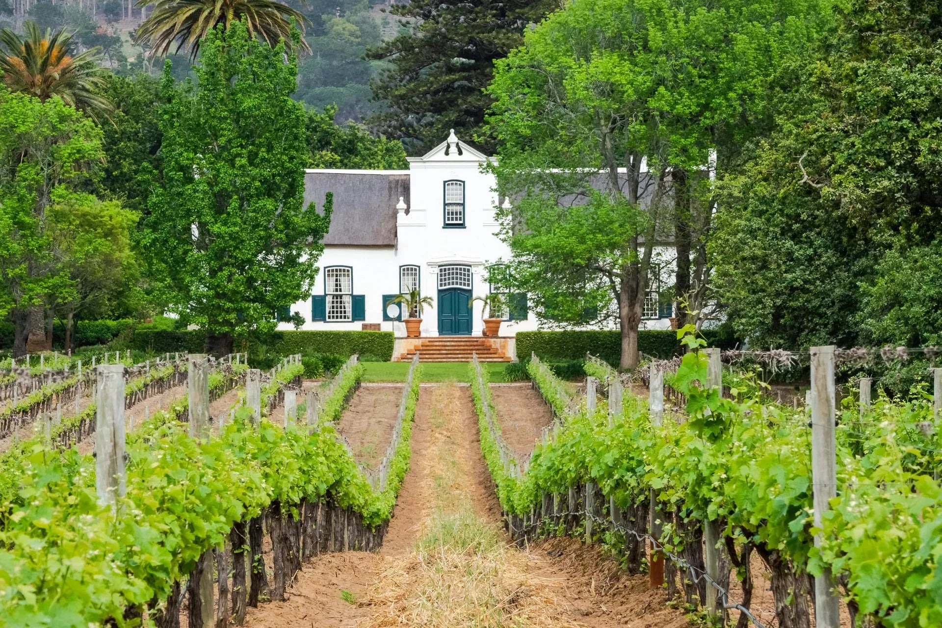 Cape Winelands properties - wine estates and manor-style villas